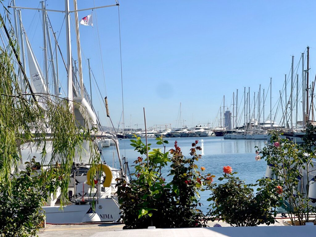 Widok przez kwiaty na marinę Alimos w Atenach i jachty na wodzie | Sailing To Go, czarter jachtów w Grecji