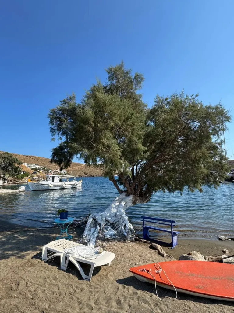 Nadbrzeże w Loutrze na wyspie Kythnos z tradycyjną grecką łodzią i drzewem rosnącym tuż przy wodzie.